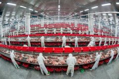 对环节节制点P点)实现24小时全程电子