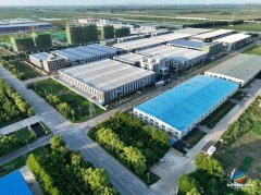 “龙头引领——小微协同——手艺共享”的财产